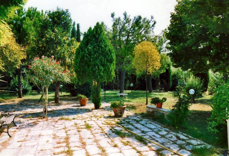 Bed&Breakfast Giardino Agritourist Controguerra Exterior photo